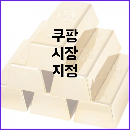 쿠팡 시장지배자 지정 보도 사실관계
