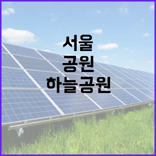 서울 하늘공원 겨울 억새, 생태와 경관의 새 장