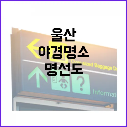 울산 명선도 미디어아트 야경 명소