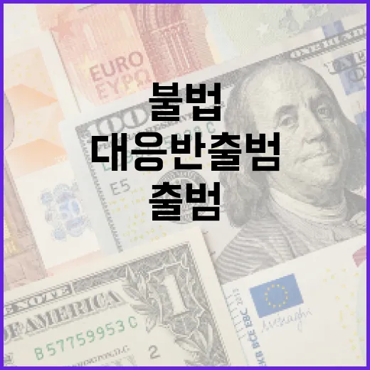 범정부 불법 외환거래 대응반 출범