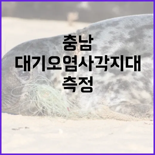 충남 대기오염 사각지대 실시간 측정 강화