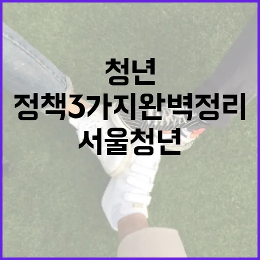 서울 청년 필수 정책 3가지 완벽 정리