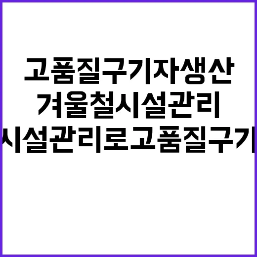 겨울철 시설관리로 고품질 구기자 생산 지킨다