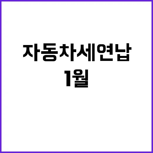 1월 자동차세 연납으로 5% 절세 혜택 받는 법
