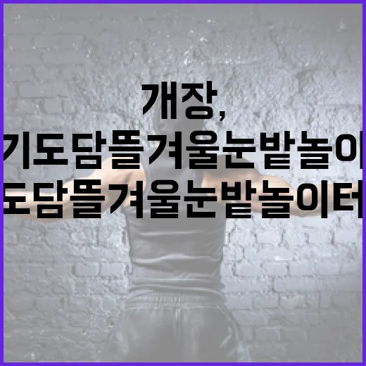 경기도담뜰 겨울 눈밭 놀이터 개장, 신나는 겨울 축제