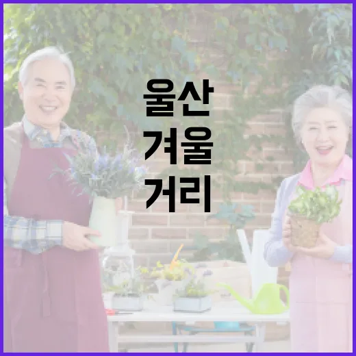 울산 문수 꿀잼빙상장 겨울 즐길거리 완벽 가이드