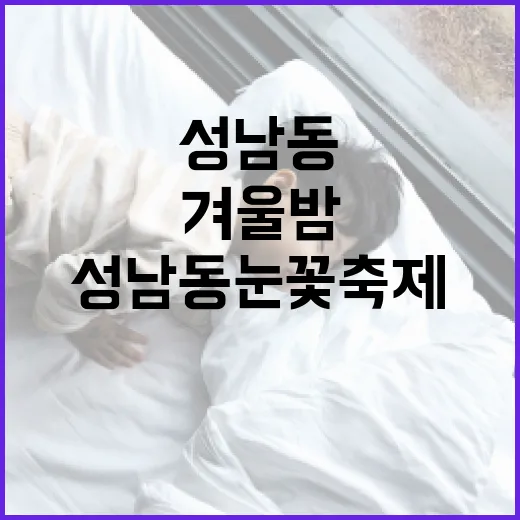 성남동 눈꽃축제, 겨울밤을 빛내다