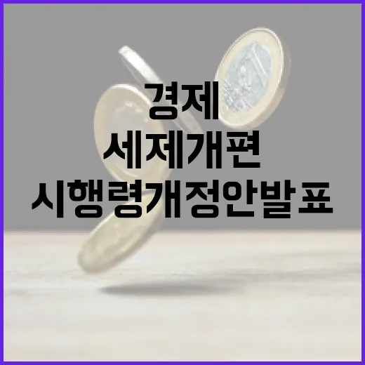 세제개편 후속 시행령 개정안 발표, 경제 도약과 민생 안정 지원