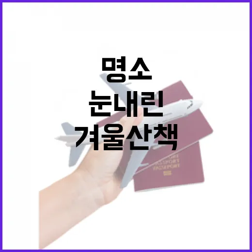 눈 내린 고마나루길, 겨울 산책 명소