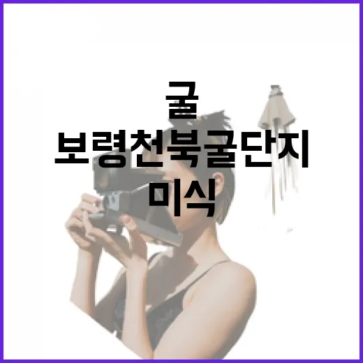 보령 천북굴단지 겨울철 굴 미식 명소