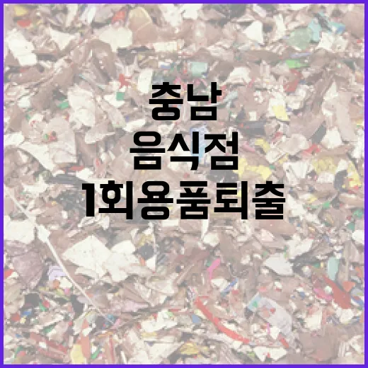 충남, 1회용품 퇴출 음식점에 120억 저리 대출 지원