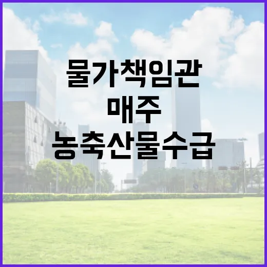 물가책임관 첫 회의, 농축산물 수급 매주 점검