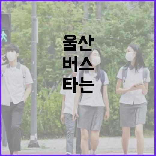 울산 마실고래버스, 고래 타는 신개념 버스