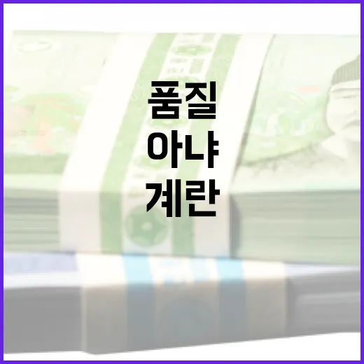 등급 계란, 품질 우수함에도 가격 인상 요인 아냐