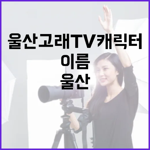 울산고래TV 캐릭터 이름 공모전 개최
