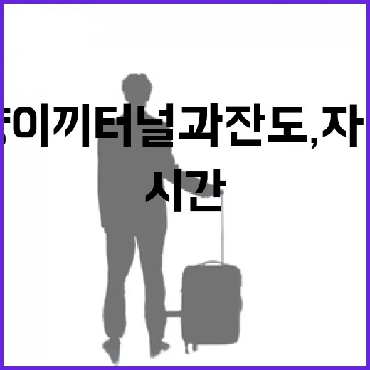 단양 이끼터널과 잔도, 자연이 빚은 시간의 길