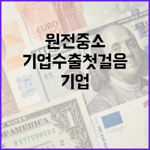 원전 중소기업 수출 첫걸음 지원 확대