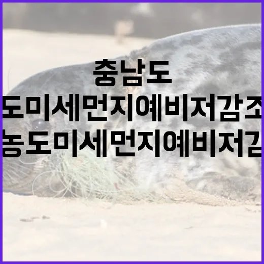 충남도 올해 첫 고농도 미세먼지 예비저감조치 발령