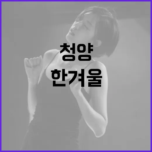 한겨울 청양, 청년 에너지로 뜨거워진다