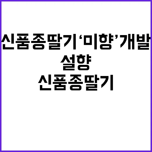 설향 뛰어넘는 신품…