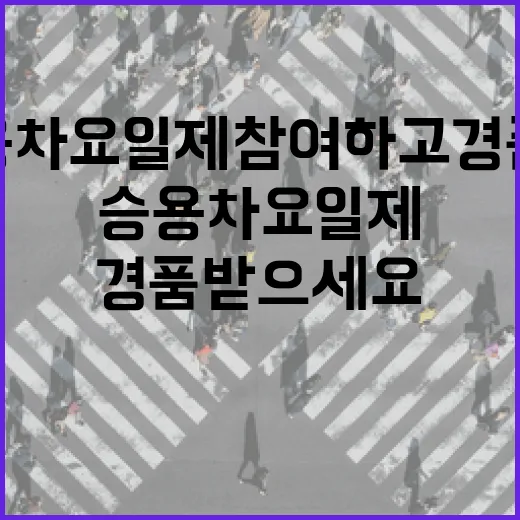 대전시 승용차요일제 참여하고 경품 받으세요