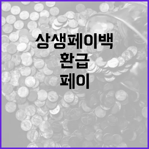 상생페이백 1170만 명 혜택, 1조 3060억 환급 성과
