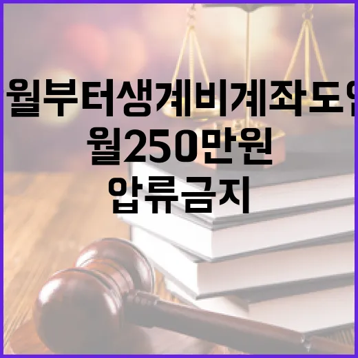 2월부터 생계비계좌 도입, 월 250만 원 압류 금지