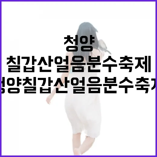 청양 칠갑산 얼음분수 축제 현장 풍경