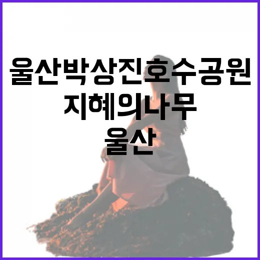 울산 박상진 호수공원과 지혜의 나무 산책기