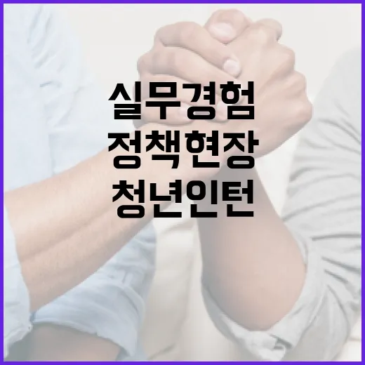 청년인턴 281명 모집, 정책 현장서 실무 경험