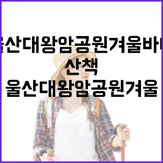 울산 대왕암공원 겨울 바다 산책 명소