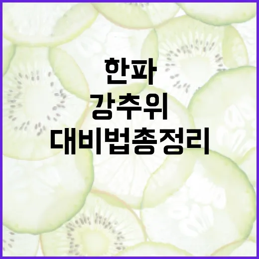 주말까지 강추위, 한파 대비법 총정리