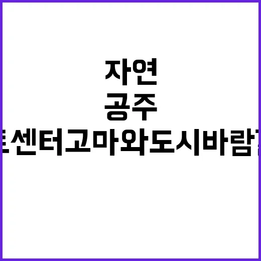 공주 아트센터 고마…
