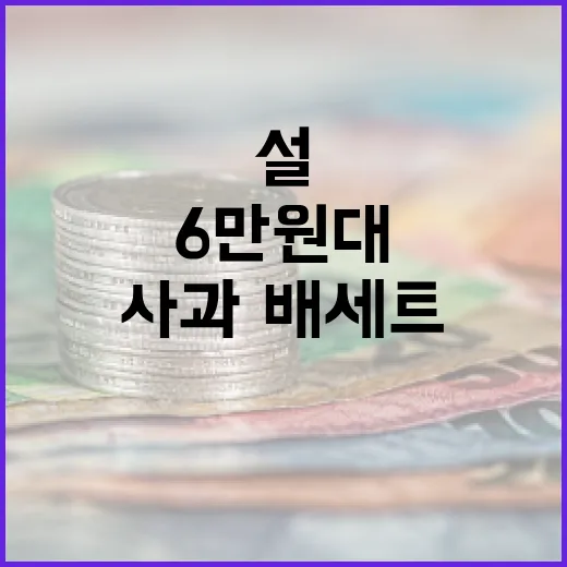 충남농사랑 설 기획전, 사과·배 세트 6만 원대 선보여