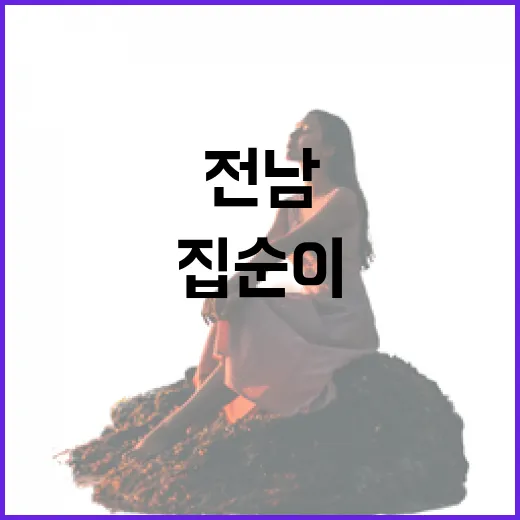 전남 상반기 축제, 집순이도 나들이 각!