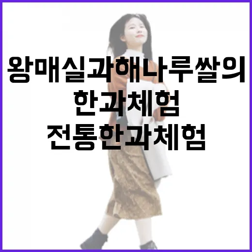 왕매실과 해나루쌀의 전통 한과 체험