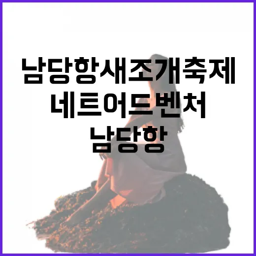 남당항 새조개축제와 네트어드벤처 체험기