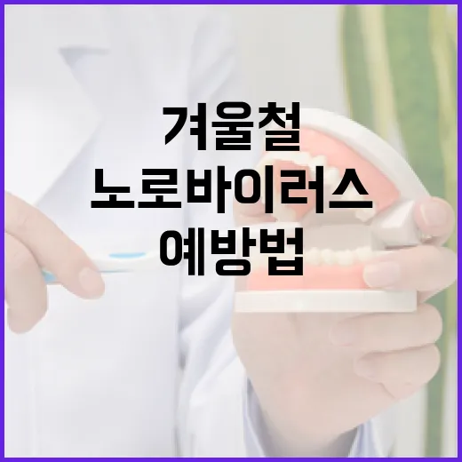 겨울철 노로바이러스 철저 예방법