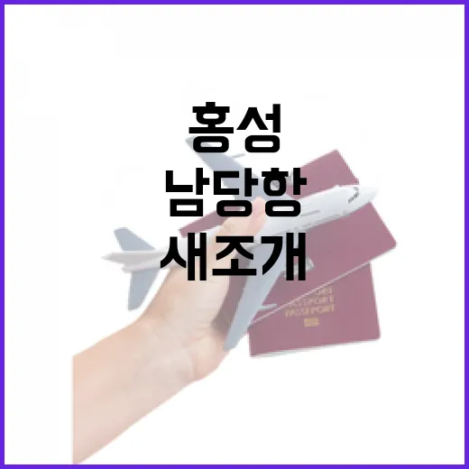 겨울바다와 새조개 맛보는 홍성 남당항 축제