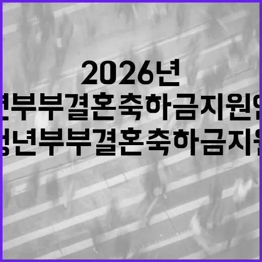 2026년 전남청년부부 결혼 축하금 지원 안내