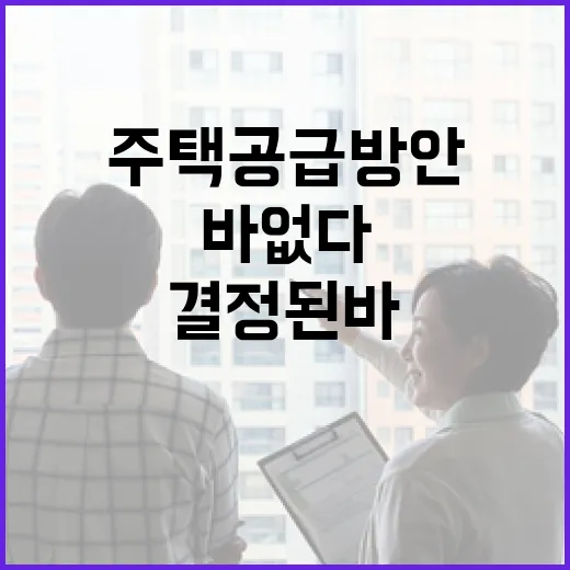 주택공급 방안, 아직 결정된 바 없다