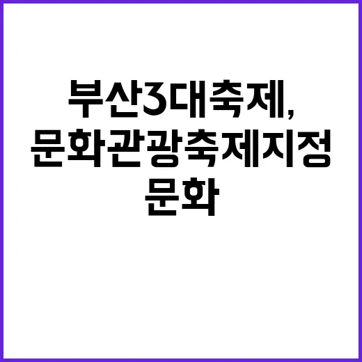 부산 3대 축제, …