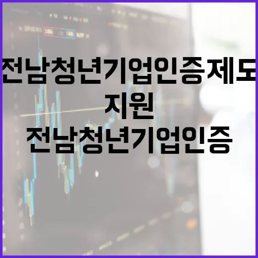 전남 청년기업 인증제도, 청년 성공 지원