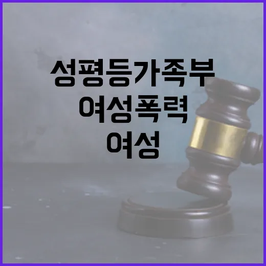 성평등가족부, 여성폭력방지법 개정 검토