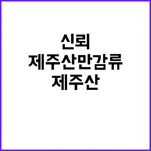 제주산 만감류, 신뢰와 품질의 상징