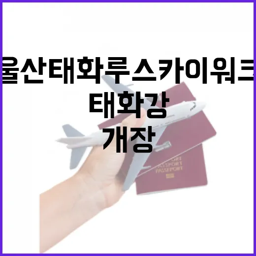 울산 태화루 스카이워크 개장, 태화강의 새로운 명소