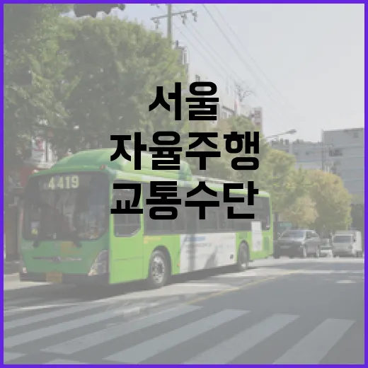 서울 자율주행 교통수단 완벽 가이드