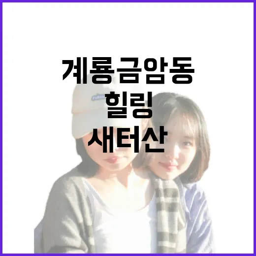 계룡 금암동 새터산 산책과 족욕 힐링 코스