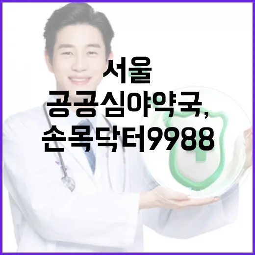 서울 공공심야약국, 손목닥터9988 앱서 간편 확인