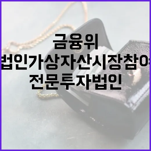 금융위, 전문투자법인 가상자산시장 참여 논의 중